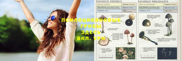 меф VHQ Баксан