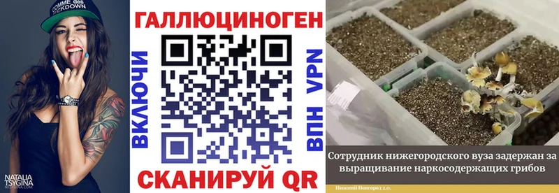 это официальный сайт  Нязепетровск  Псилоцибиновые грибы Magic Shrooms 